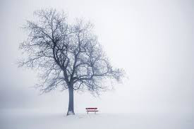 It is Clearly Winter