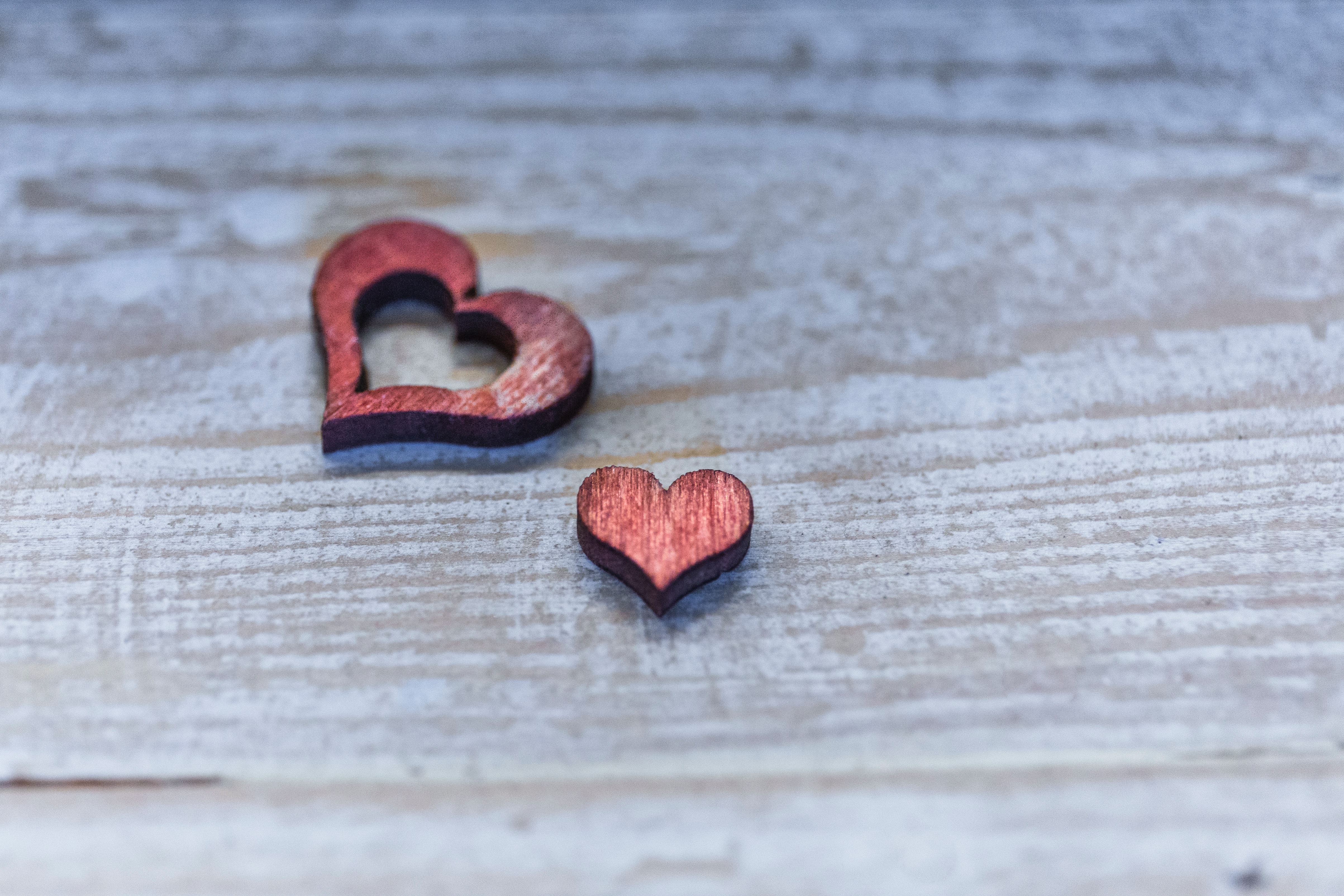 An Inconvenient Heart